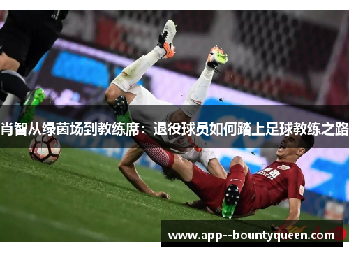 肖智从绿茵场到教练席：退役球员如何踏上足球教练之路