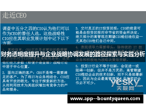 财务透明度提升与企业战略协调发展的路径探索与实践分析